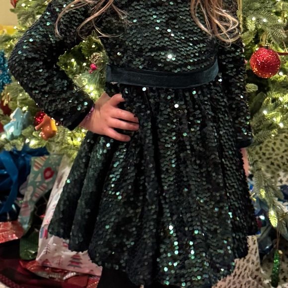 Girl’s Green and Velvet Sequin Dress - Picture 2 of 2